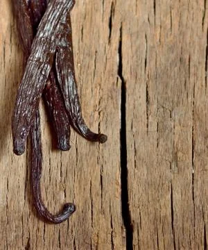 Vanilla beans Stock Photos