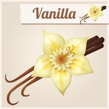 Vanilla. Detailed Vector Icon Stock Illustration