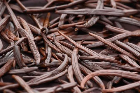 Vanilla dry fruit 库存照片