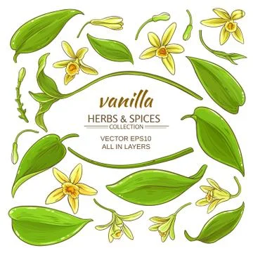 Vanilla elements set Stock Illustration