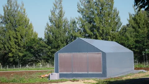 Vanilla Farm 62 Stock Footage 323305871