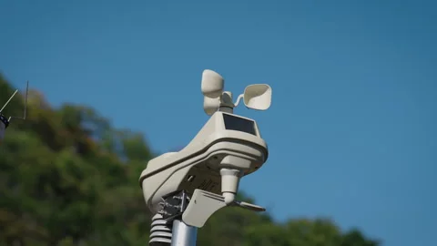 Vanilla Farm 64 Stock Footage 323305654