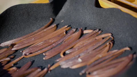 Vanilla Farm 66 Stock Footage 323306267