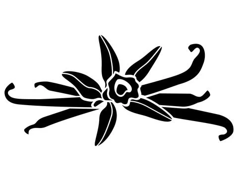 Vanilla Flower and Pods - vector silhouette illustration for logo or pictogram. Ilustración de archivo