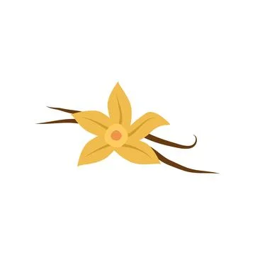 Vanilla flower icon. Flat illustration of vanilla flower vector icon Stock-Illustration