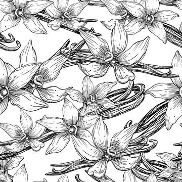 Vanilla Flowers seamless Pattern. Hand drawn floral vector illustration of Illustrazione stock