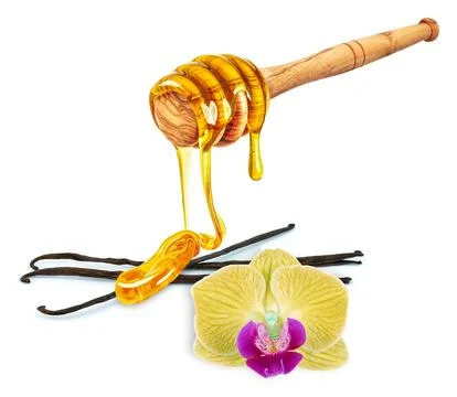 Vanilla with honey Stock Photos