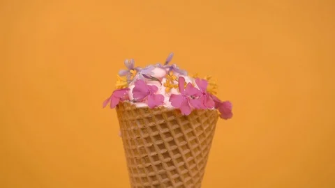 Vanilla Ice cream in waffle cone decorated with spring flowers, vanilla style Stock Footage 109045206