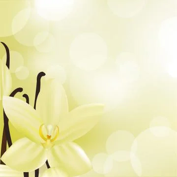 Vanilla Stock Illustration