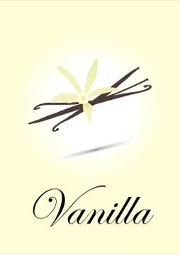 Vanilla Stock Illustration