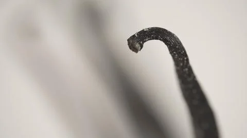 Vanilla Stock Photos