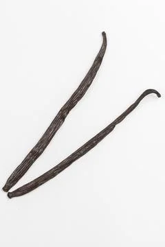 Vanilla Stock Photos