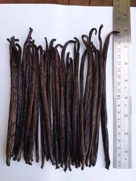 Vanilla Stock Photos