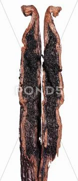 A vanilla pod, halved Stock Photos