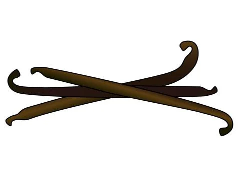 Vanilla pod - vector full color picture for logo or pictogram. Stock Illustration