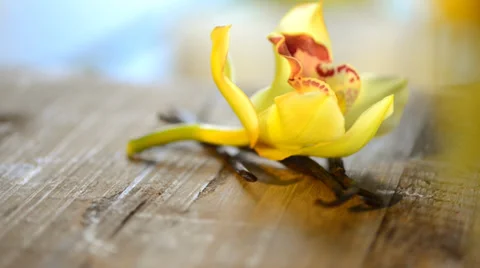 Vanilla Pods and Flower Stock Footage 33578610
