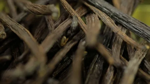 Vanilla Pods Fall on each other Closeup 動画素材 99165680