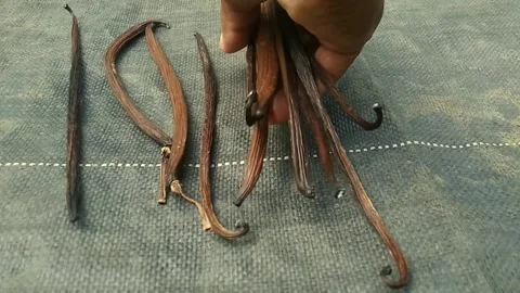 Vanilla pods Stock Footage 274858577