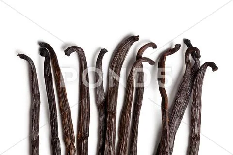 Vanilla pods Stock Photos