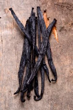 Vanilla pods Foto stock