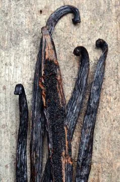 Vanilla pods Stock Photos