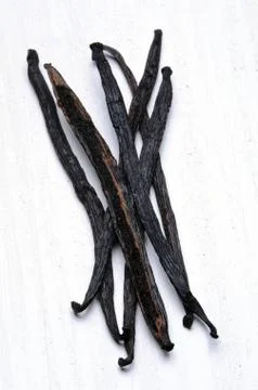 Vanilla pods Stock Photos