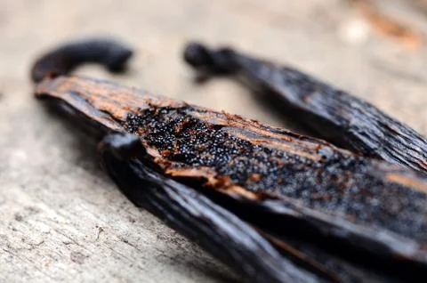 Vanilla pods Stock Photos