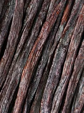 Vanilla pods Stock Photos