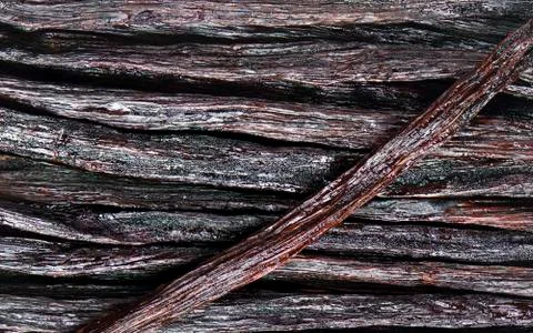 Vanilla pods Stock Photos
