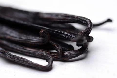 Vanilla pods Stock Photos