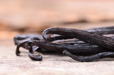 Vanilla pods Foto stock