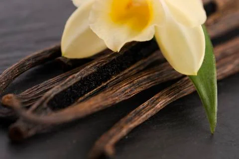 Vanilla pods Stock Photos