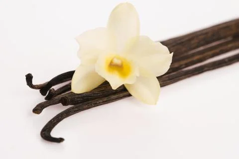 Vanilla pods Stock Photos