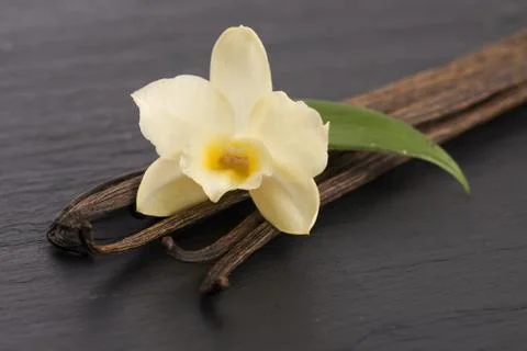 Vanilla pods Stock Photos