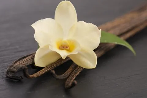 Vanilla pods Stock Photos