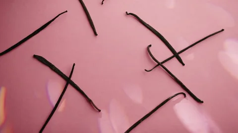 Vanilla Pods On Pink Background Stock Footage 239723602