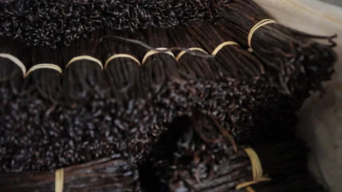 Vanilla pods tied together in a bundle Stock Footage 221463023