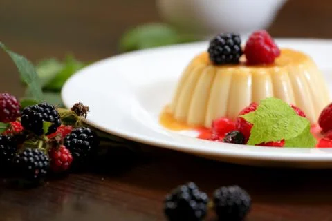 Vanilla pudding with wild berries Stock Photos