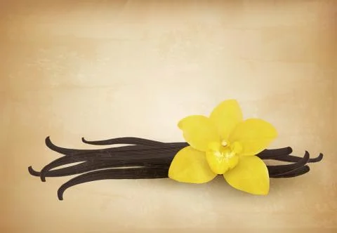 Vanilla retro background. Vector. Illustrazione stock