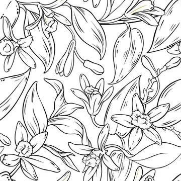 Vanilla seamless pattern Stock Illustration