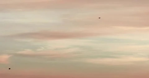 Vanilla sky colorful exotic cloud, Flight of a flock of birds. Stock Footage 145036620