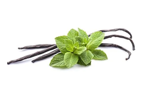 Vanilla steak with peppermint Stock Photos