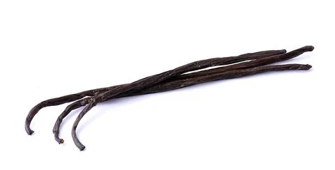 Vanilla stick Stock Photos