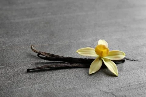 Vanilla sticks and flower on grey background. Space for text Stock Photos