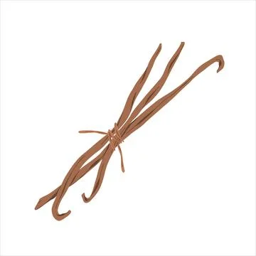 Vanilla sticks, bunch of dried bourbon vanila pods with beans, hand drawn Stock Illustration