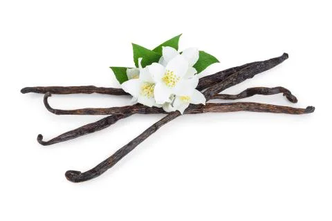Vanilla sticks with flower and leaf isolated on white background Stock Photos