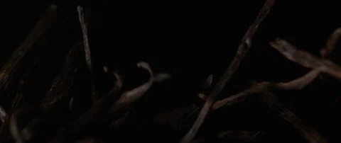 Vanilla sticks fly from the dark to the camera and then fall into the dark Stock Footage 106008675