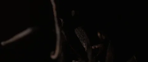 Vanilla sticks fly from the dark to the camera and then fall into the dark Stock Footage 106008700