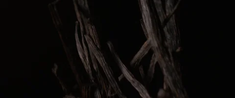 Vanilla sticks fly from the dark to the camera and then fall into the dark Stock Footage