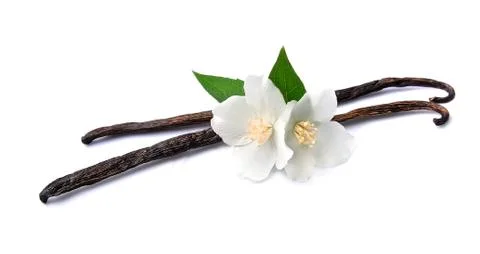 Vanilla sticks . Stock Photos